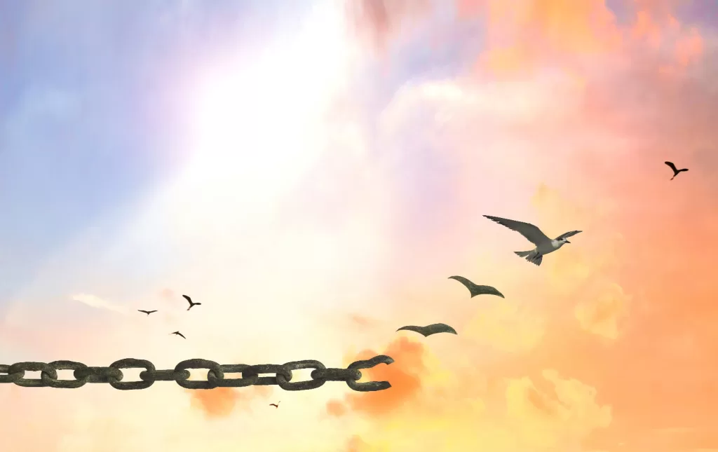 Birds flying freely in the sky with a broken chain, symbolizing release and freedom, against a backdrop of a pastel-hued sunrise.