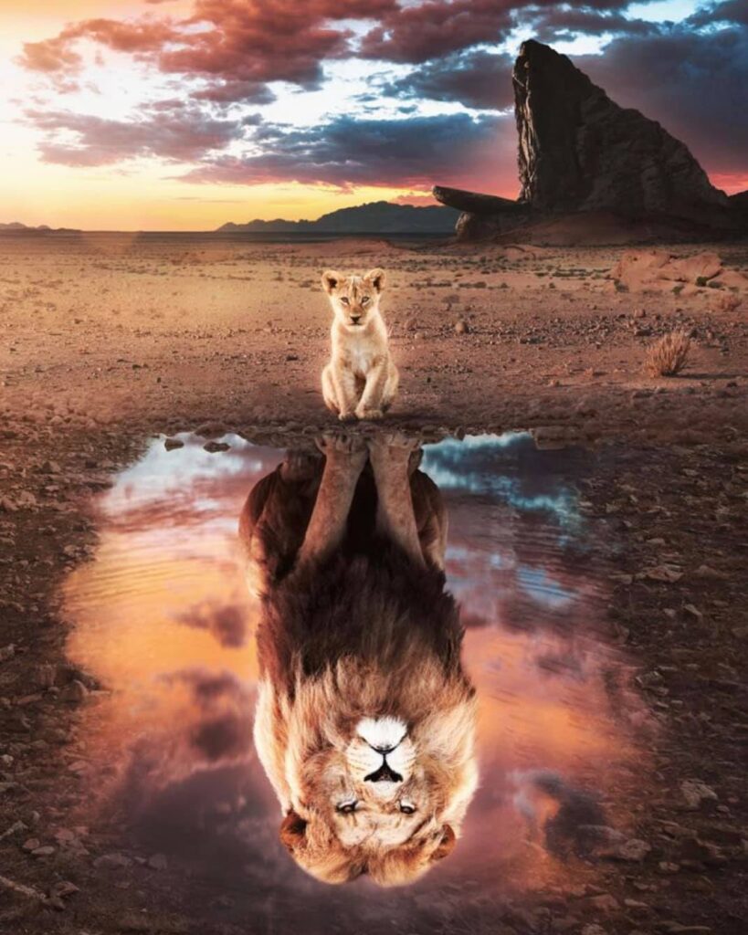 A lion cub standing confidently on a rock, gazing into the horizon with the reflection of a majestic adult lion in a water mirror below, symbolizing growth and transformation at Inspired Minds.